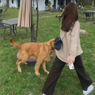 漫长的季节